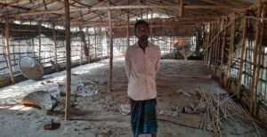 ঝিনাইদহে হঠাৎ করেই মুরগীর সংকট