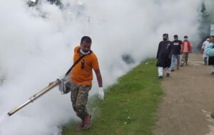 ঝিনাইদহে ডেঙ্গু প্রতিরোধে মশক নিধন ও পরিচ্ছন্ন কর্মসূচি